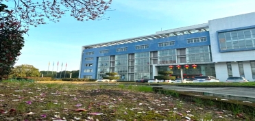 發(fā)現(xiàn)賽豪身邊的一抹春色