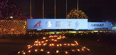 靜謐夜空月色朦朧，賽豪燈光默默守候