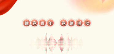 賽豪黨支部開展建黨100周年黨建活動